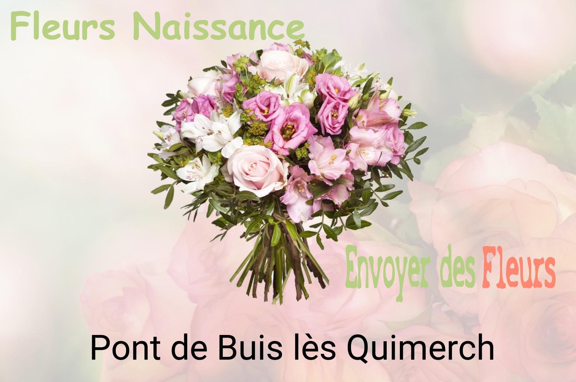 Bouquet de fleurs de naissance livré à Pont-de-Buis-lès-Quimerch